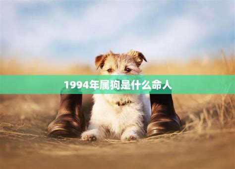 1994年属狗|1994年属狗是什么命男 1994年属狗是什么命金木水火土